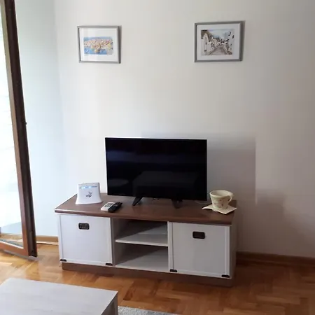 Blagojevic Apartment Vrnjacka Banja