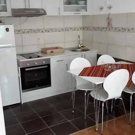 Apartment Blagojevic Vrnjacka Banja